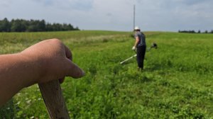 Косим траву для кроликов