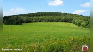 ПРИКОЛ: из далёких, из полей вылетает воробей 🐦.