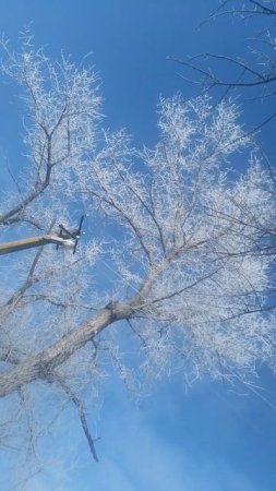 VID_20250115_120325