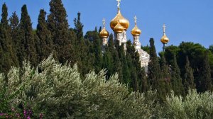 ПО МУРОМСКОЙ  ДОРОЖКЕ