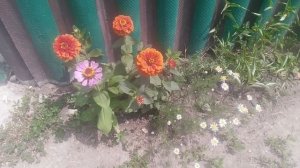VID_20250719_130634