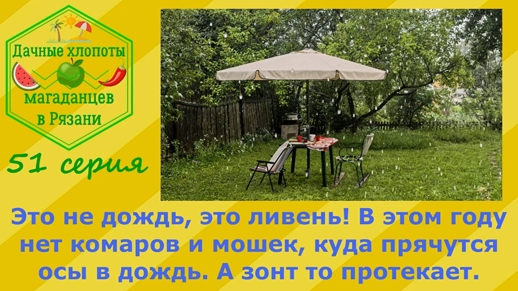 Ливень на даче. А зонт то протекает! В этом году нет комаров и мошек, куда прячутся осы в дождь?