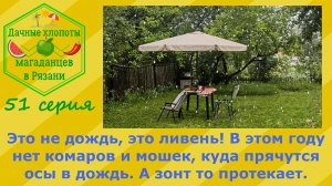 Ливень на даче. А зонт то протекает! В этом году нет комаров и мошек, куда прячутся осы в дождь?
