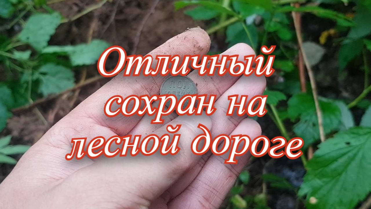 Пару часов копа на лесной дороге. смотреть онлайн