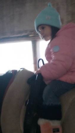 VID_20241008_114310