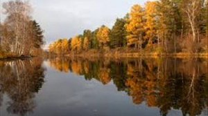 Песня  ВОКРУГ ВСЁ ТА ЖЕ ТИШИНА