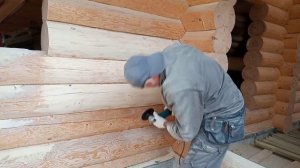 Подбираем идеальный абразив для шлифовки сруба. Пробная шлифовка у заказчика - Команда ПАКЛЯ