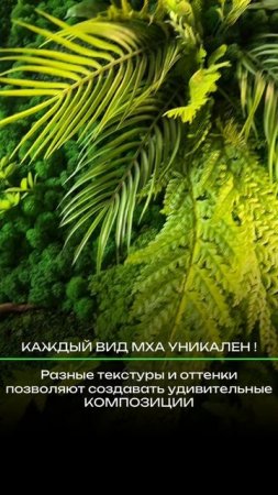 Картины из стабилизированных растений разных фактур и оттенков
