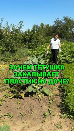 Зачем тётушка закапывает пластик на даче?