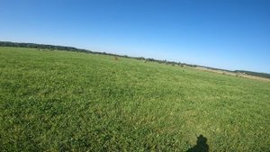 Отработака поиска
Кира 9 месяцев