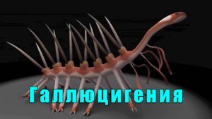 Галлюцигения (Момент Творения)