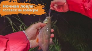 Ночная ловля голавля на воблеры