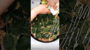 ИНДЕЙКА ПОД БЕКОНОМ И ЯБЛОКОМ🔥🔥🔥