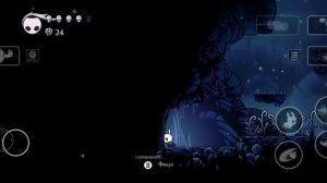 The hollow Knight