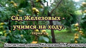 Сад Железовых - учимся на ходу. Серия 2.