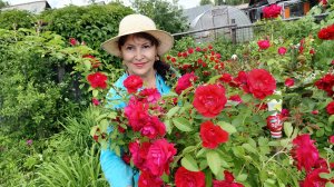 Красота в огороде 🤩💐😍😁😄