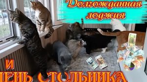 Долгожданная лоджия и День Стольника.