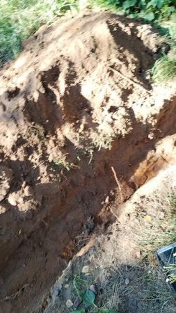 VID_20240919_153208