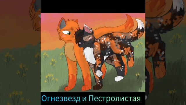 парочки в котах воителях/название песни [песня из сериала дикий ангел]\