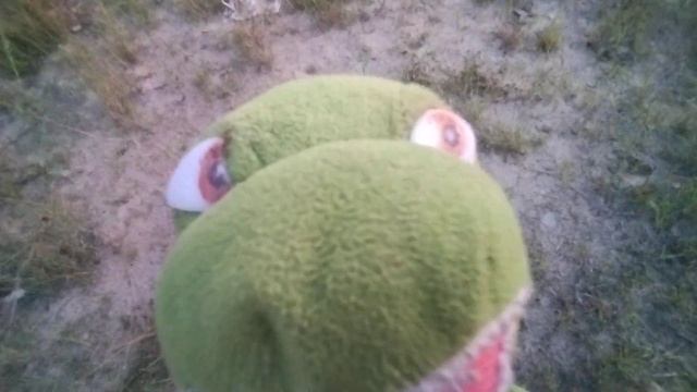 ЧЕРЕПУХУС ЛЕТАЕТ! смотреть онлайн