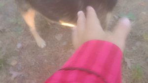 алëна чек отпуск