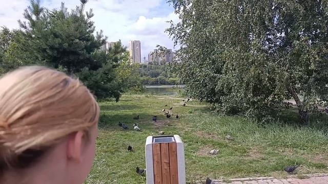 Остров Татышев. Красноярск. Июль 2025