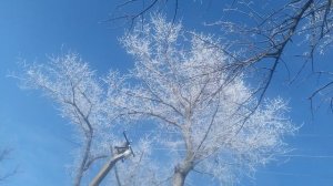 VID_20250115_120252