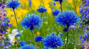 Доброго летнего утра картинки красивые с пожеланиями 🌞