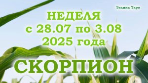 СКОРПИОН | ТАРО прогноз на неделю с 28 июля по 3 августа 2025 года