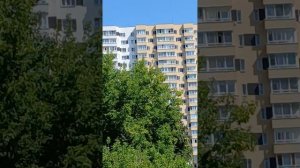 приколы Москвареки