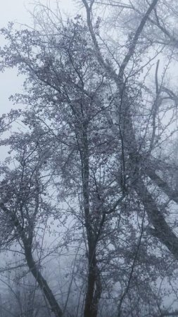 VID_20250116_114152