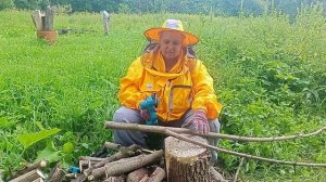аккумуляторная садовая цепная пила