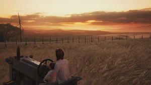 ЖИЗНЬ ДАЛЬШЕ ➤ The LAST of US 2 (Одни из нас 2) ➤ Прохождение #43