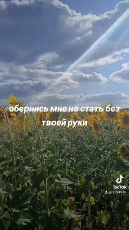 1000017979.mp4