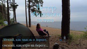 🚴♀️ 250 км вдоль Финского залива. Сестрорецк-Кипперорт-Пески. Одиночный велопоход!!