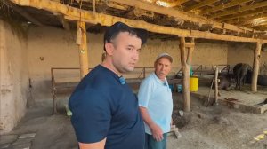 YO’L YO’LAKAY 64-qism. MOL BIZNESI (1)