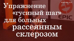 Упражнение «гусиный шаг» для больных рассеянным склерозом (2022)