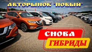 СНОВА ГИБРИДЫ