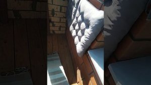 VID_20250726_Дарград