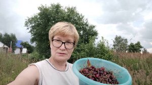 Лето в деревне: вишня, горох, картошка, прожектор и крыльцо... Июль 2025