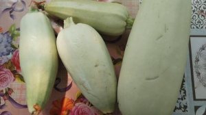 ВЛОГ: ОТПУСК И ДОМАШНИЕ ДЕЛА НЕ СОВМЕСТИМО🙈🐝🍀🌺