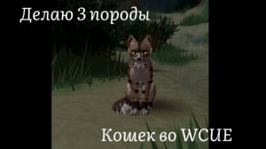 Делаю 3 породы кошек во WCUE :3