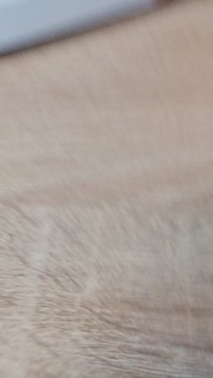 1000000664.mp4