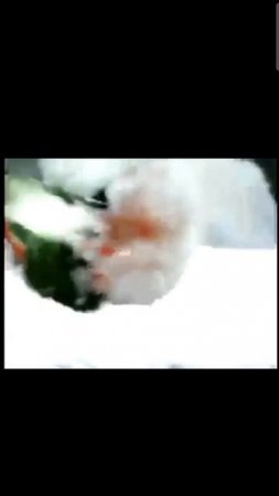 1000006045.mp4