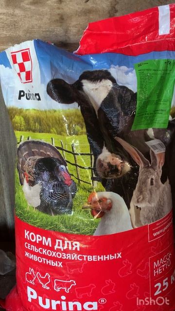 Купил стартовый комбикорм для козлят и ягнят Purina. Комбикорм Пурина обзор отзыв. смотреть онлайн