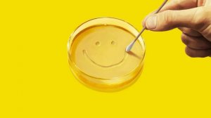 Из многих (Pluribus) — трейлер даты премьеры сериала