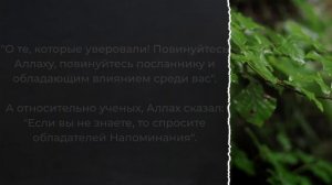 Зло суруритов / Шейх Салих аль-Усайми