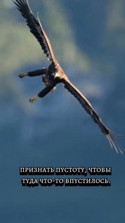 тенденции дня