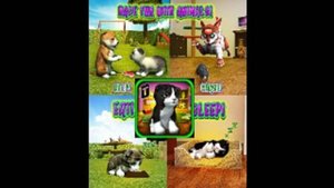 Испытания для 🐱Непослушного котёнка🐱