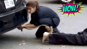 "СМЕШНЫЕ ВИДЕО: ПРИКОЛЫ, КОТОРЫЕ СДЕЛАЮТ ВАШ ДЕНЬ"